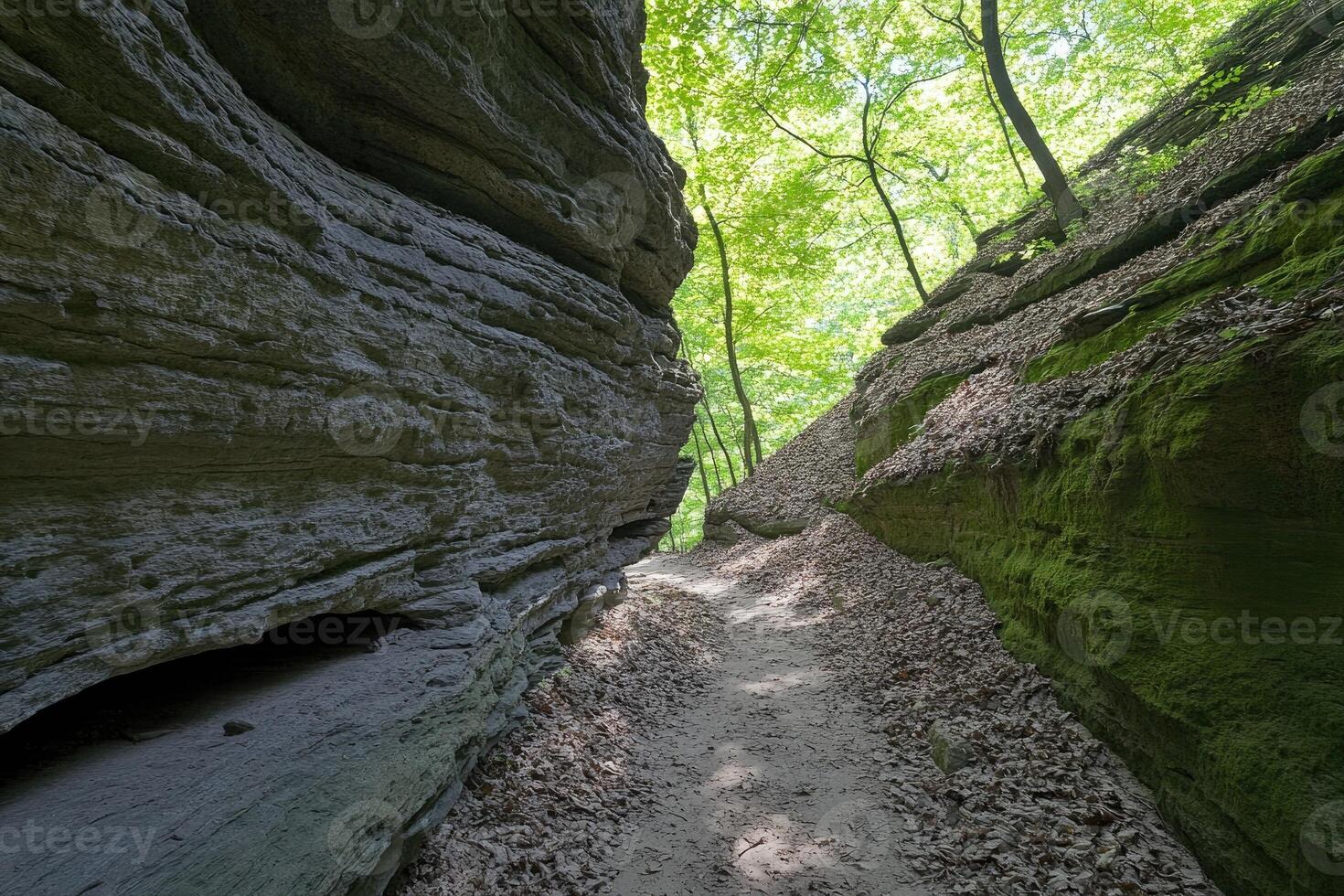 Rocky path through a shaded ravine photo
