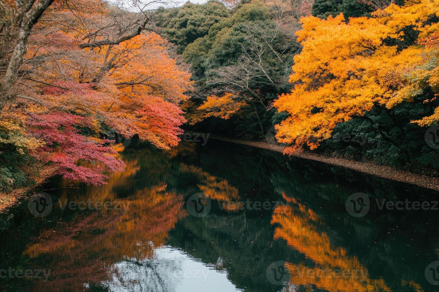 Autumnal forest reflected in a tranquil river. Vivid colors of fall foliage mirrored in the still water photo