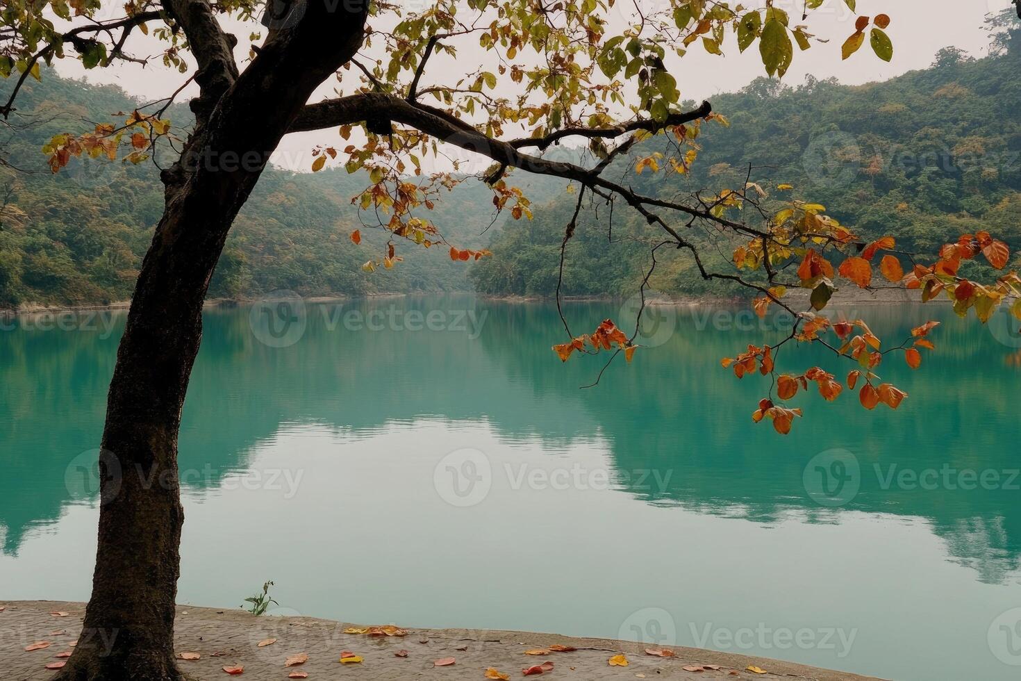 Tranquil lake scene with autumnal foliage photo