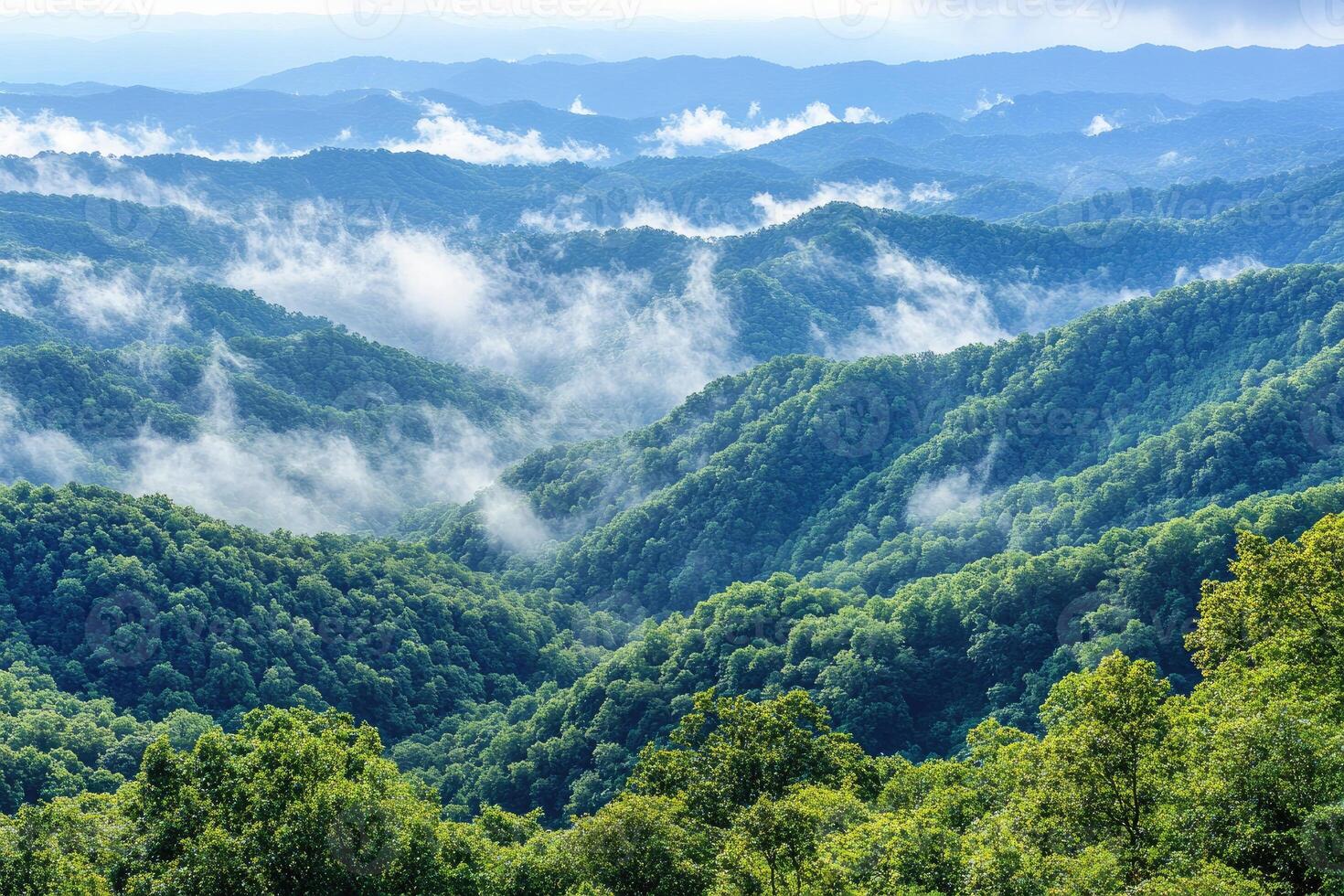 Misty mountain range. Lush green forests and valleys blanketed in morning mist photo