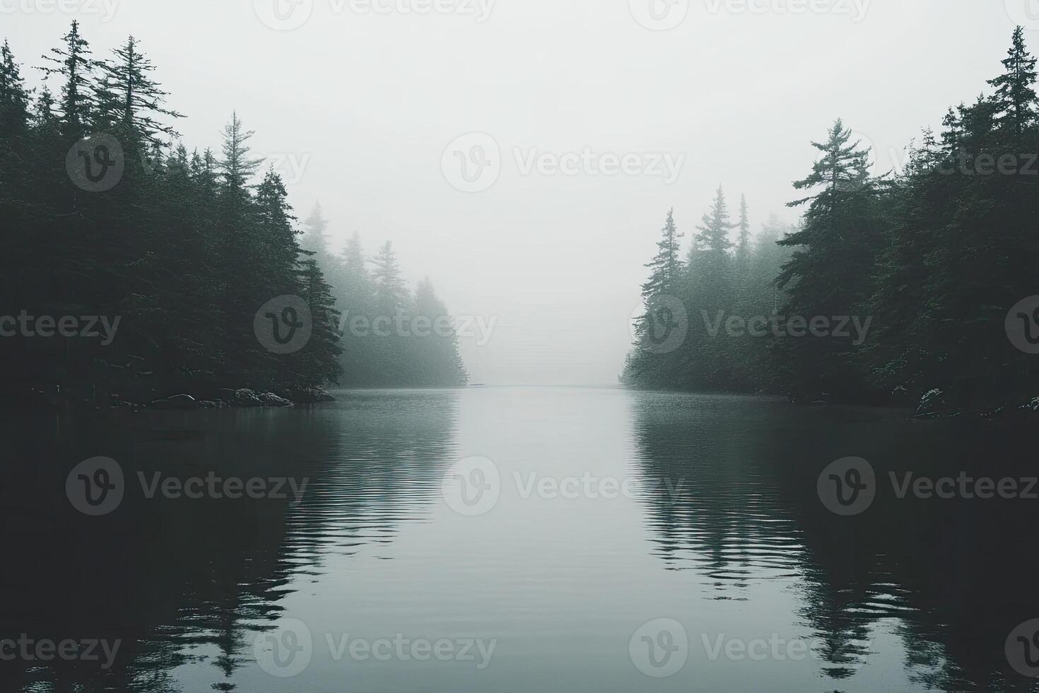 Misty forest waterway photo