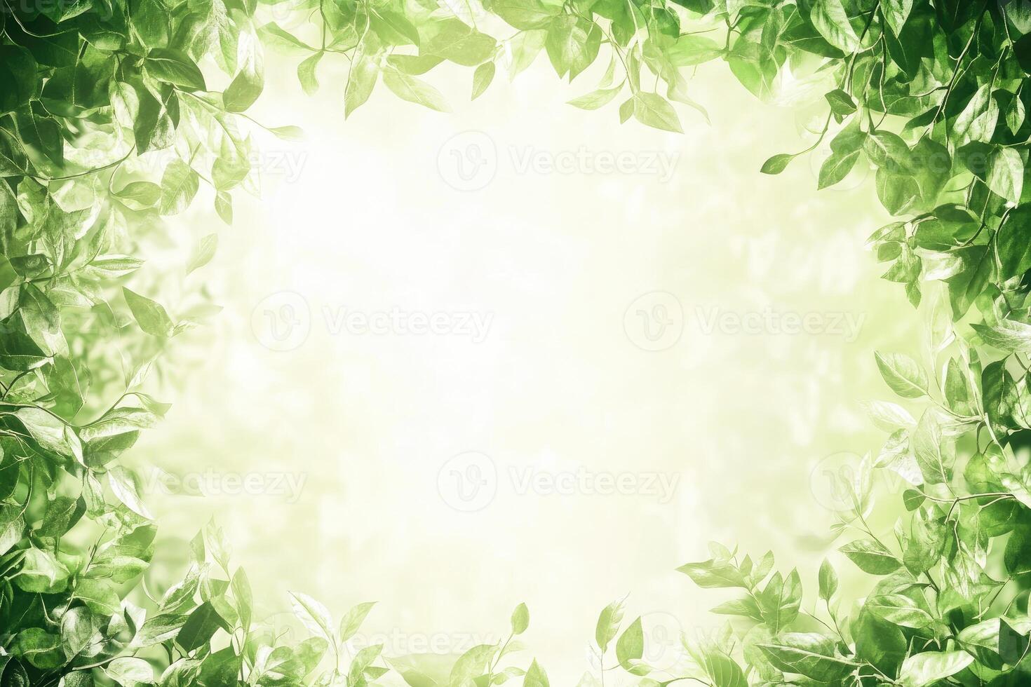 Fresh green leaves frame a soft light background photo