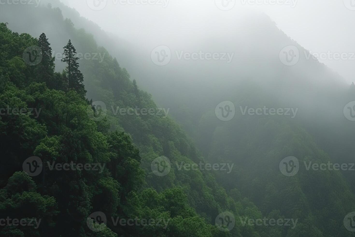 Misty mountain range covered in lush green forest photo