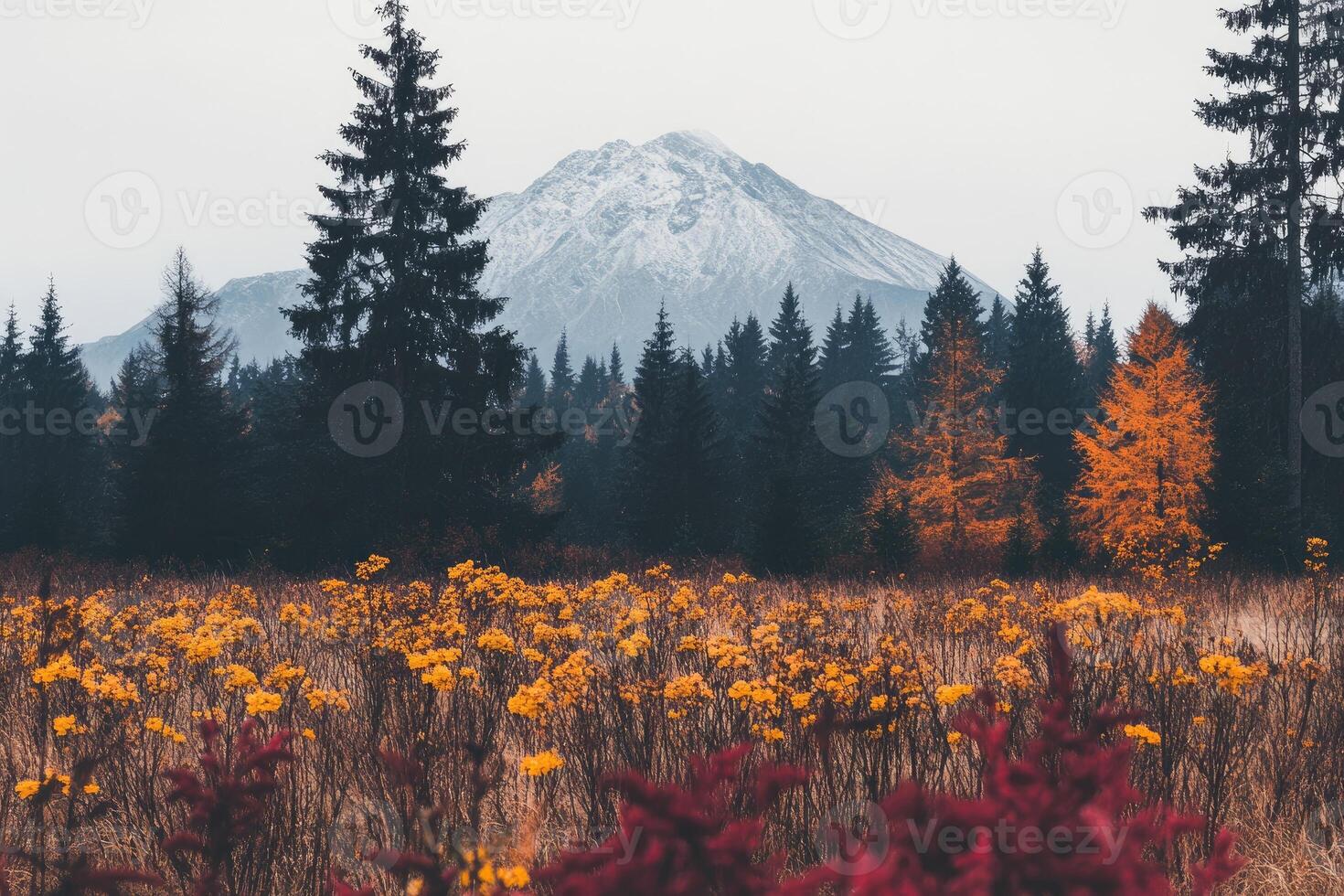 Autumn landscape with mountain in the background photo