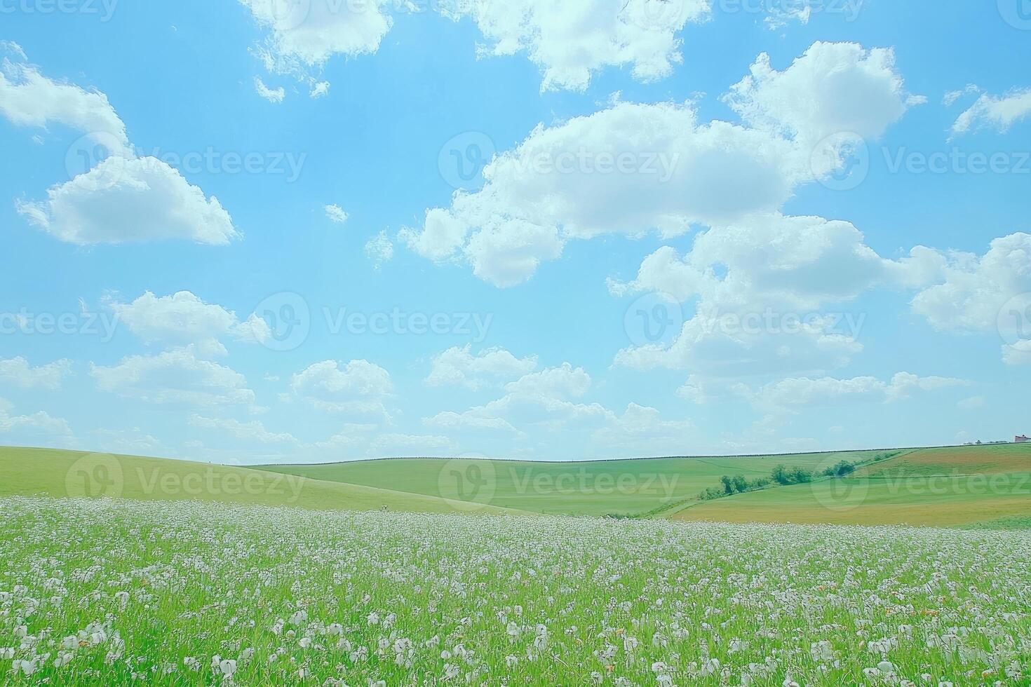 Vast field of wildflowers under a vibrant blue sky photo