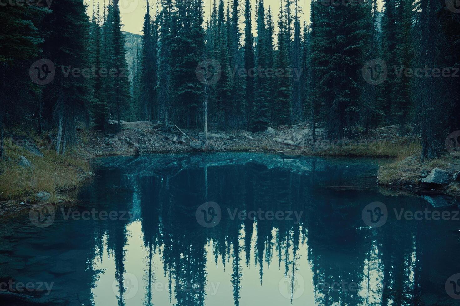 Serene mountain pond reflecting tall pines photo