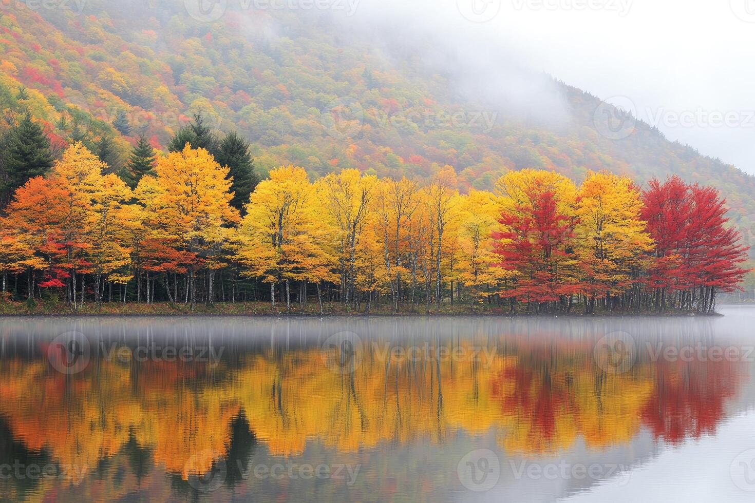 Autumnal lake reflections in a misty landscape photo