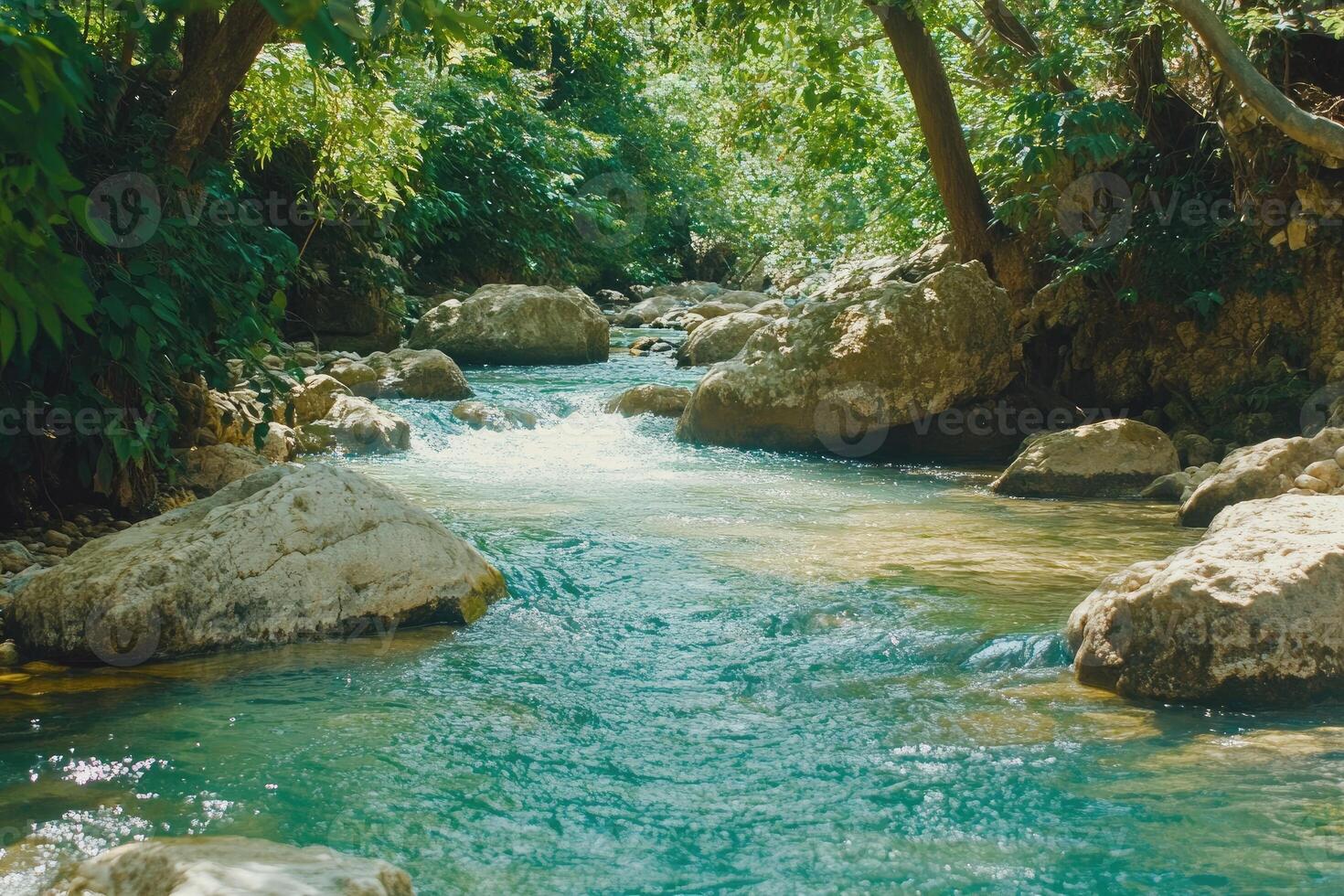 Crystal clear stream flowing amidst rocks and lush foliage photo