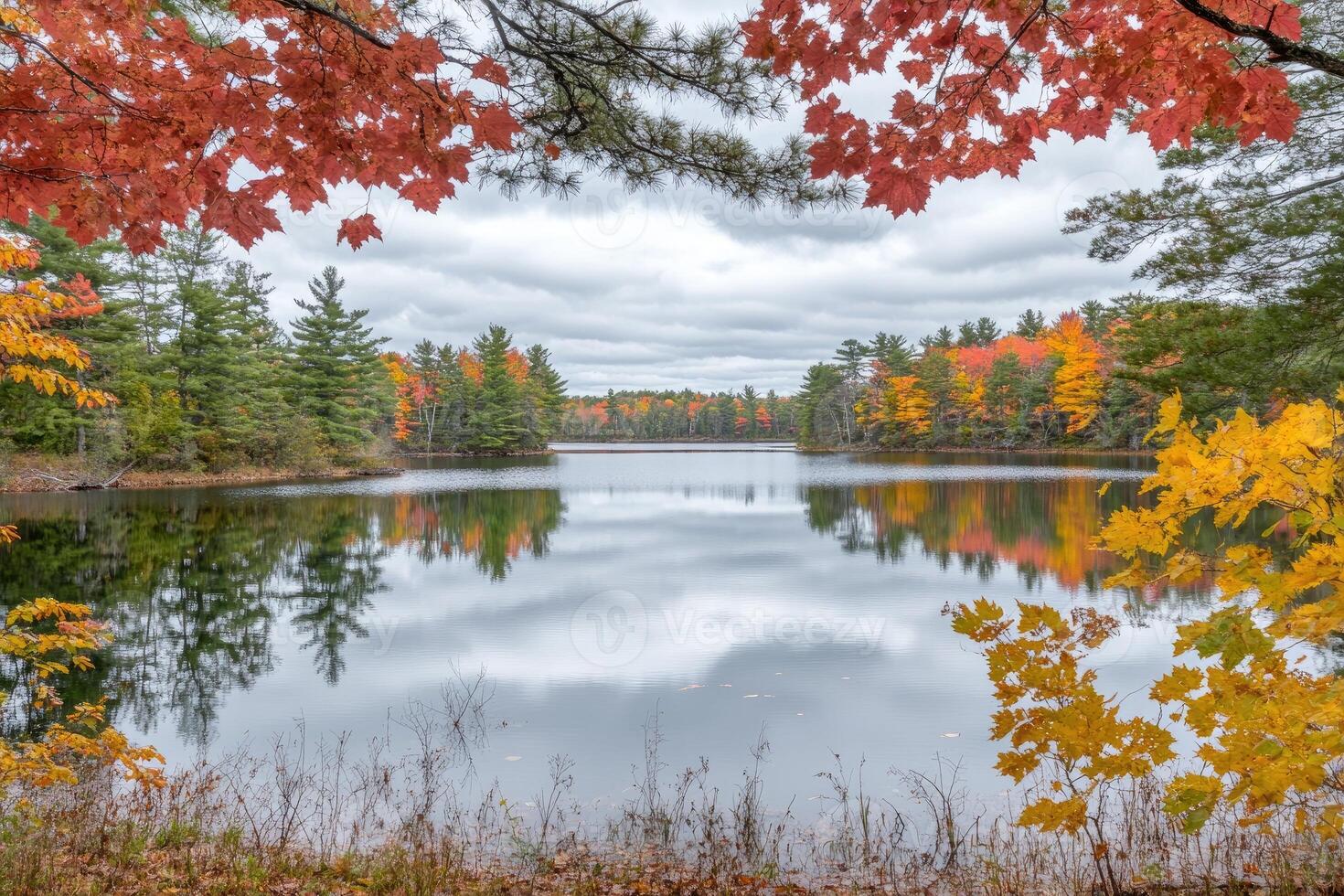 Autumnal lake framed by vibrant foliage. A serene autumn scene with a still lake reflecting the colorful autumn trees. Crisp fall colors of orange, red, and yellow surround the calm water. Clouds drift above the tranquil scene photo