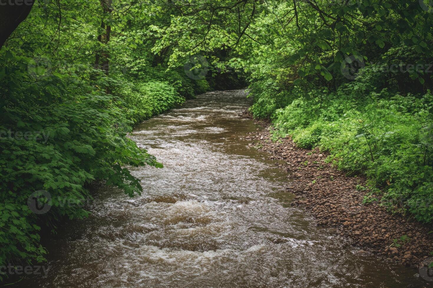 Forest stream flowing through lush greenery photo