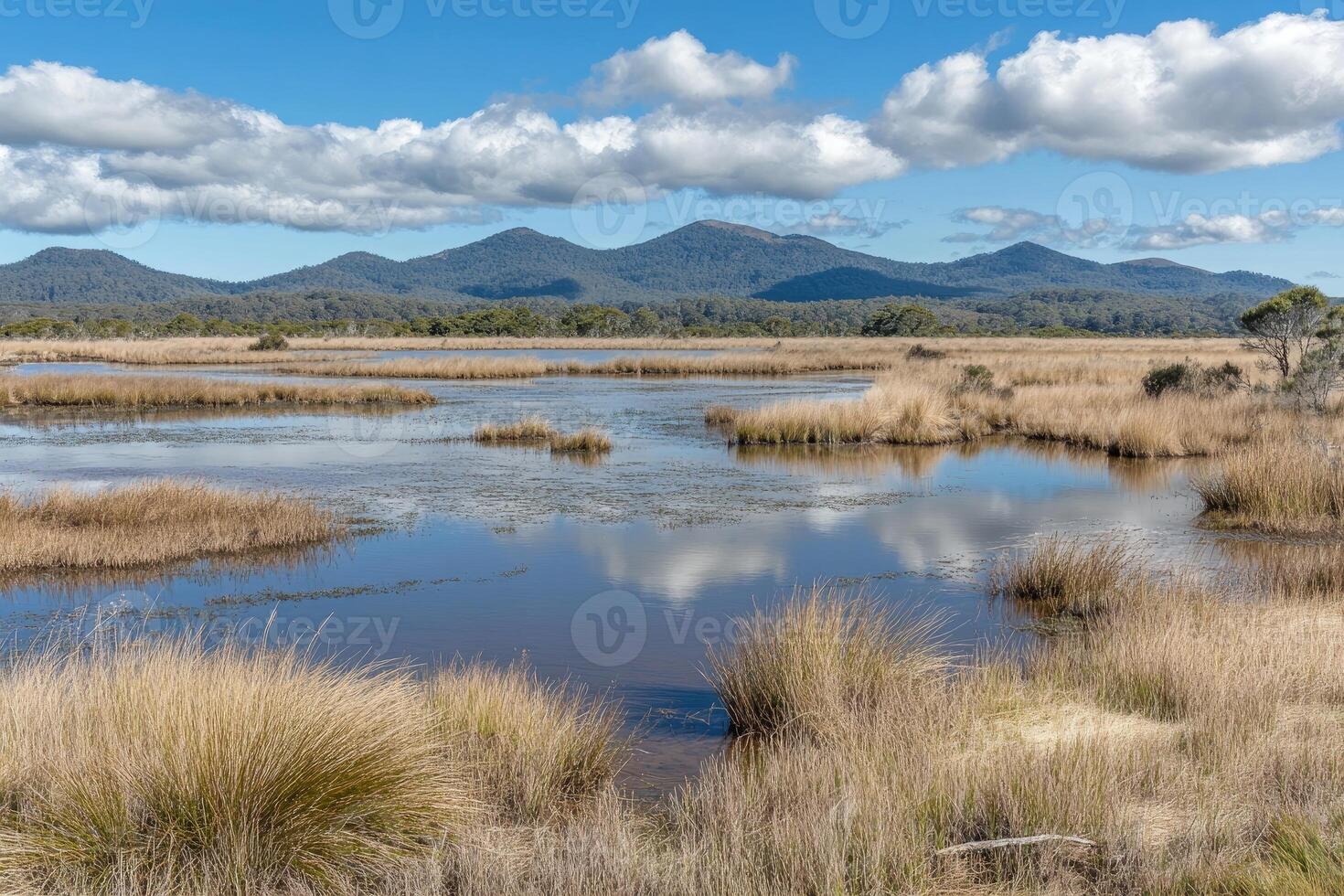 Tranquil wetland landscape reflecting mountains photo