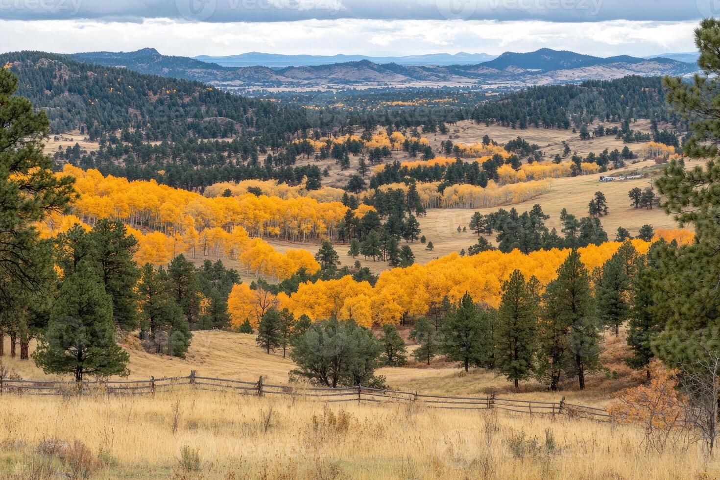 A view of the mountains and trees in the fall photo