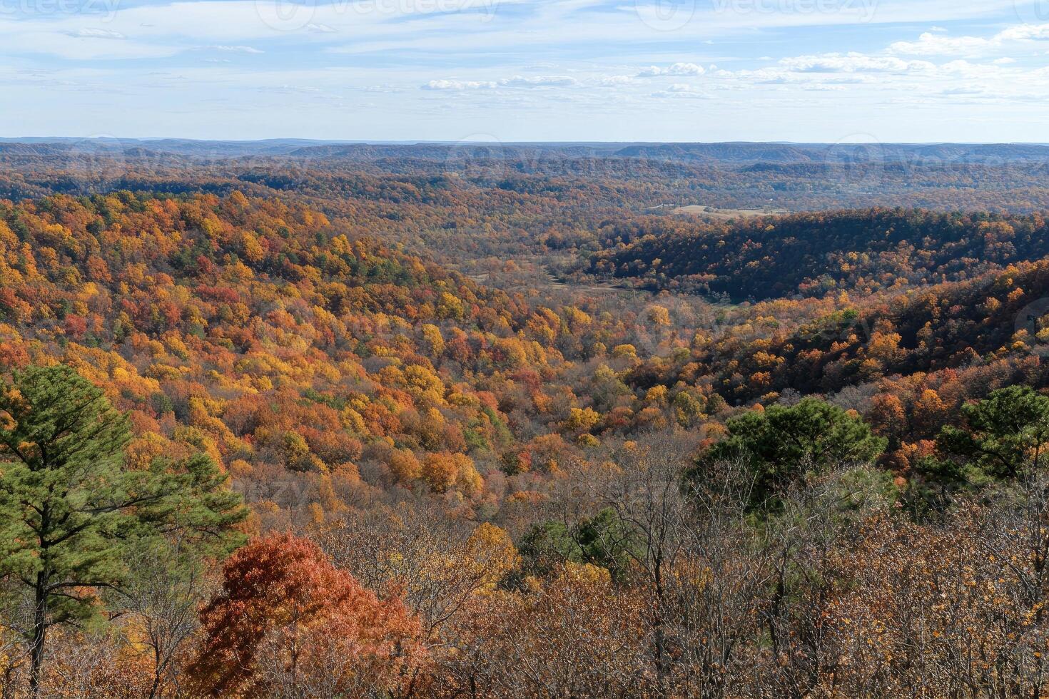 Autumnal valley vista. A high-elevation panorama of a valley, vibrant with fall colors. Dense forests transition through shades of red, orange, and yellow photo
