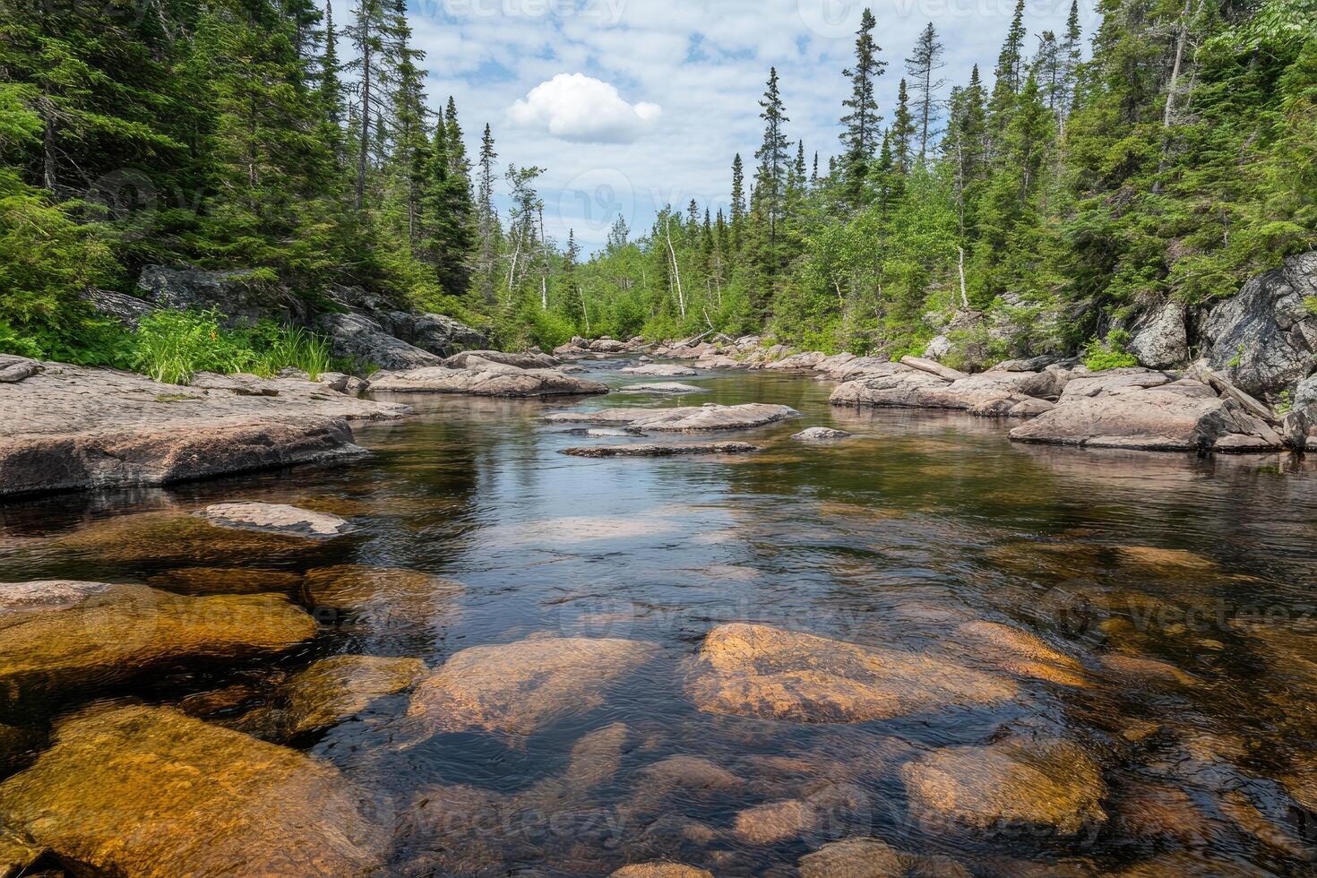 Clear, shallow river winding through a boreal forest photo