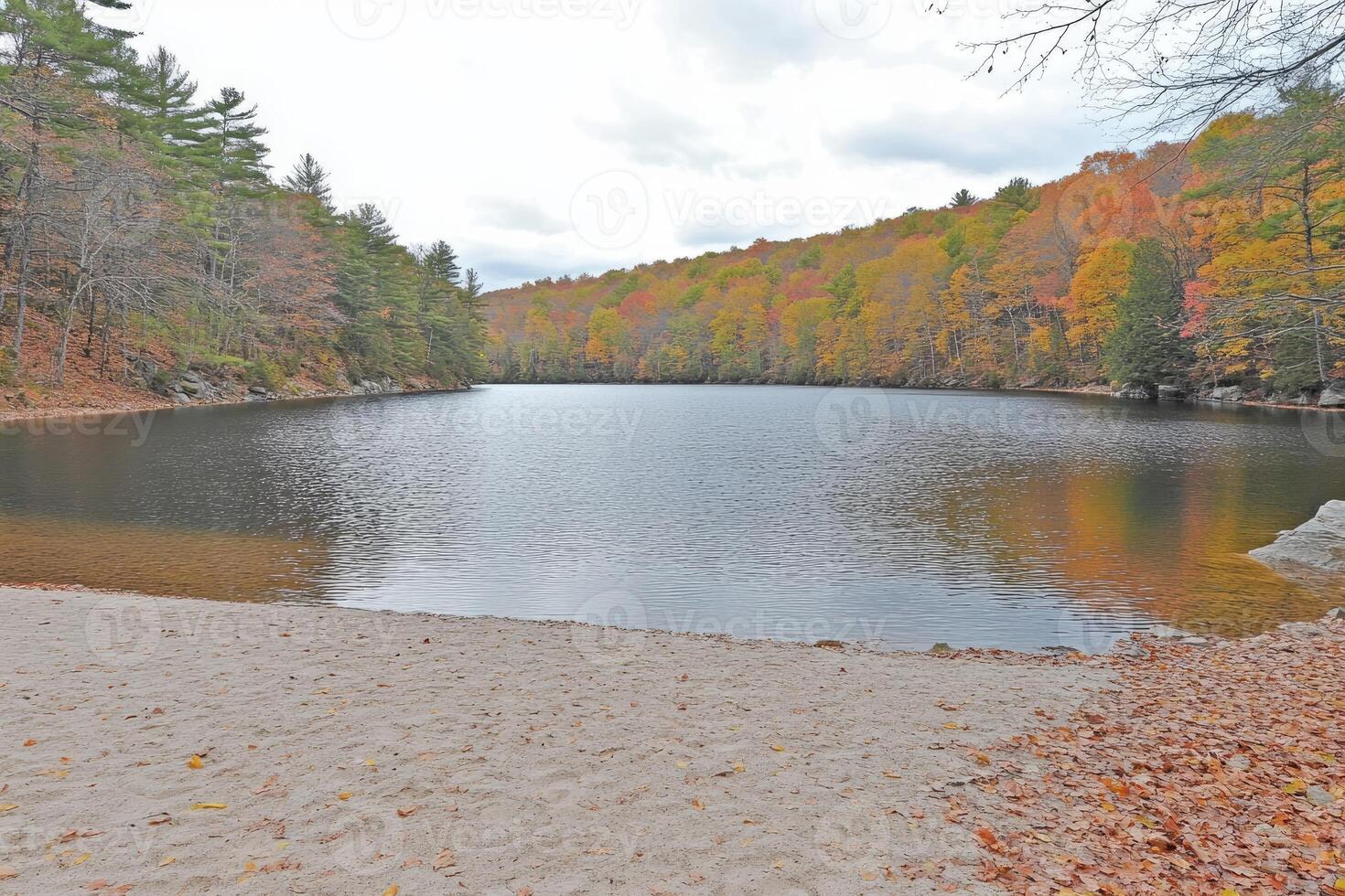 A lake surrounded by trees and leaves in the fall photo