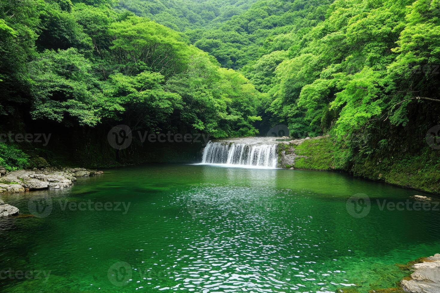 Lush waterfall cascading into a serene emerald pool nestled within a dense, verdant forest photo