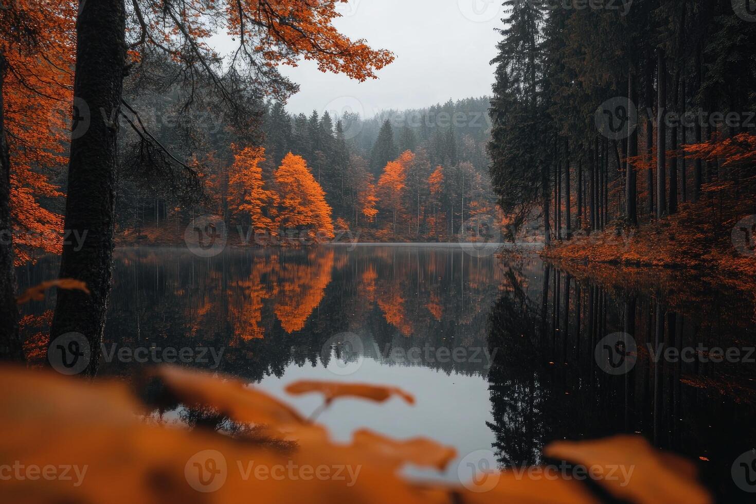 Autumnal lake reflections in a misty forest photo