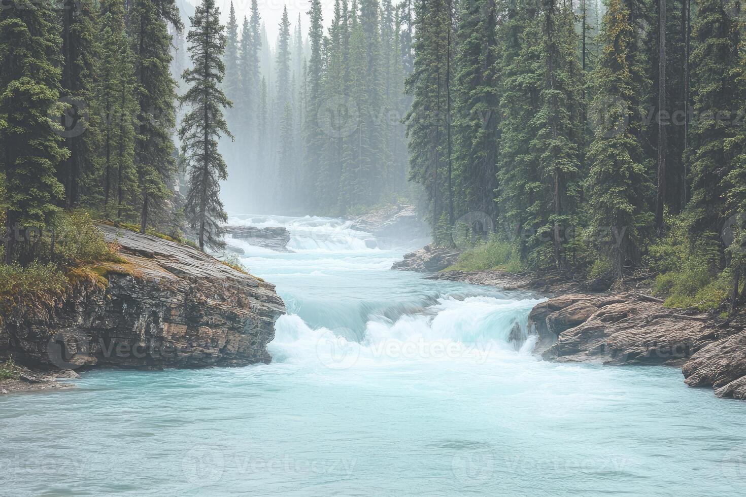 Misty river rapids in a forested canyon photo