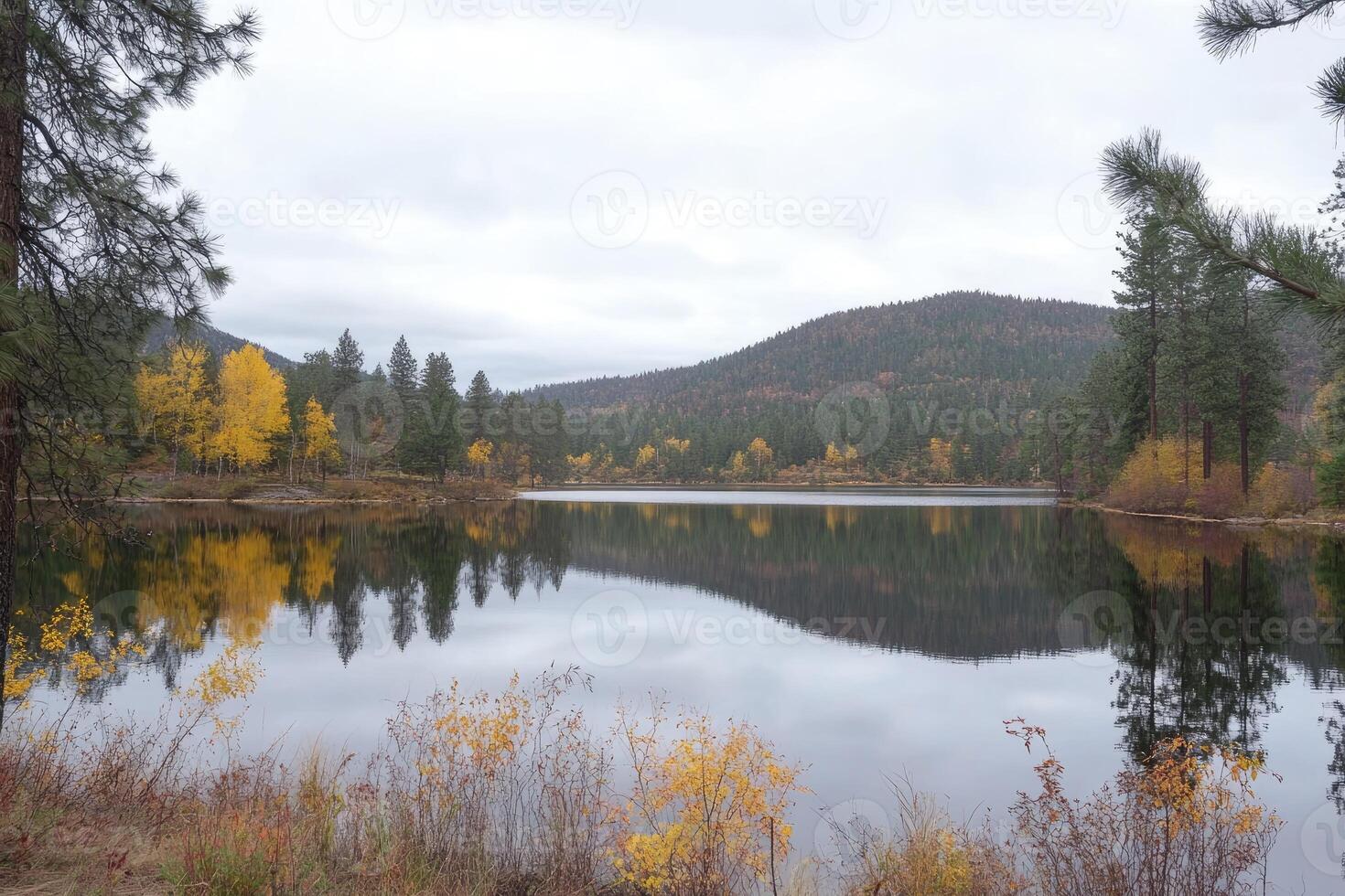 Autumn lake reflections photo