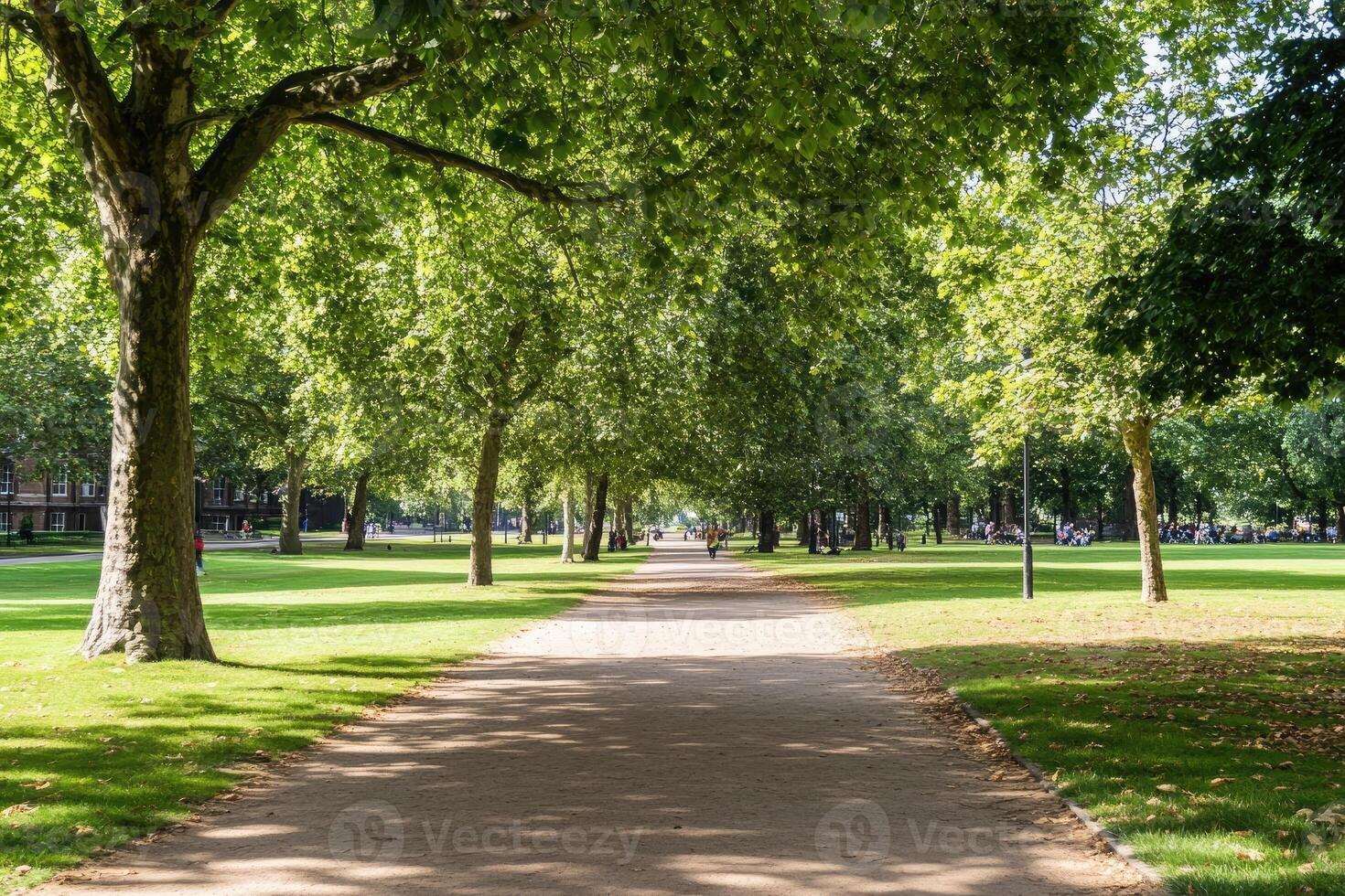 Park walkway lined with trees photo