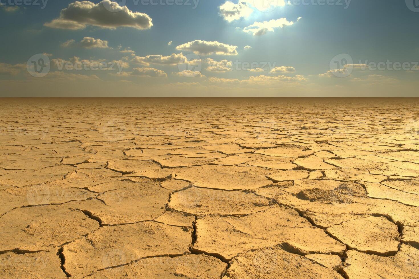 Vast, cracked earth under a bright sky photo