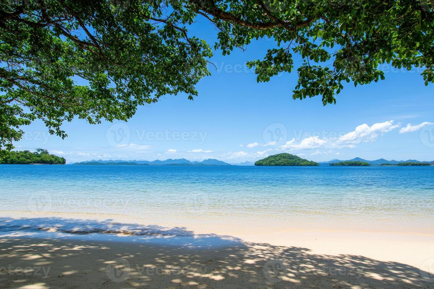 Tropical beach paradise under a canopy of lush green trees. Tranquil coastal scene with soft, sandy shore photo