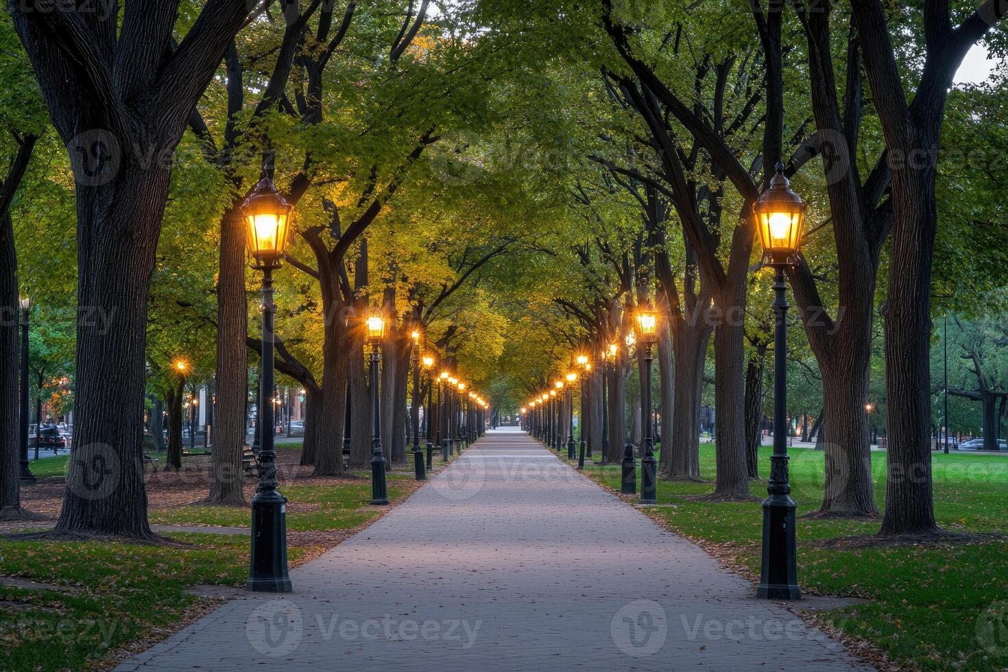 Parkway at dawn, illuminated path photo