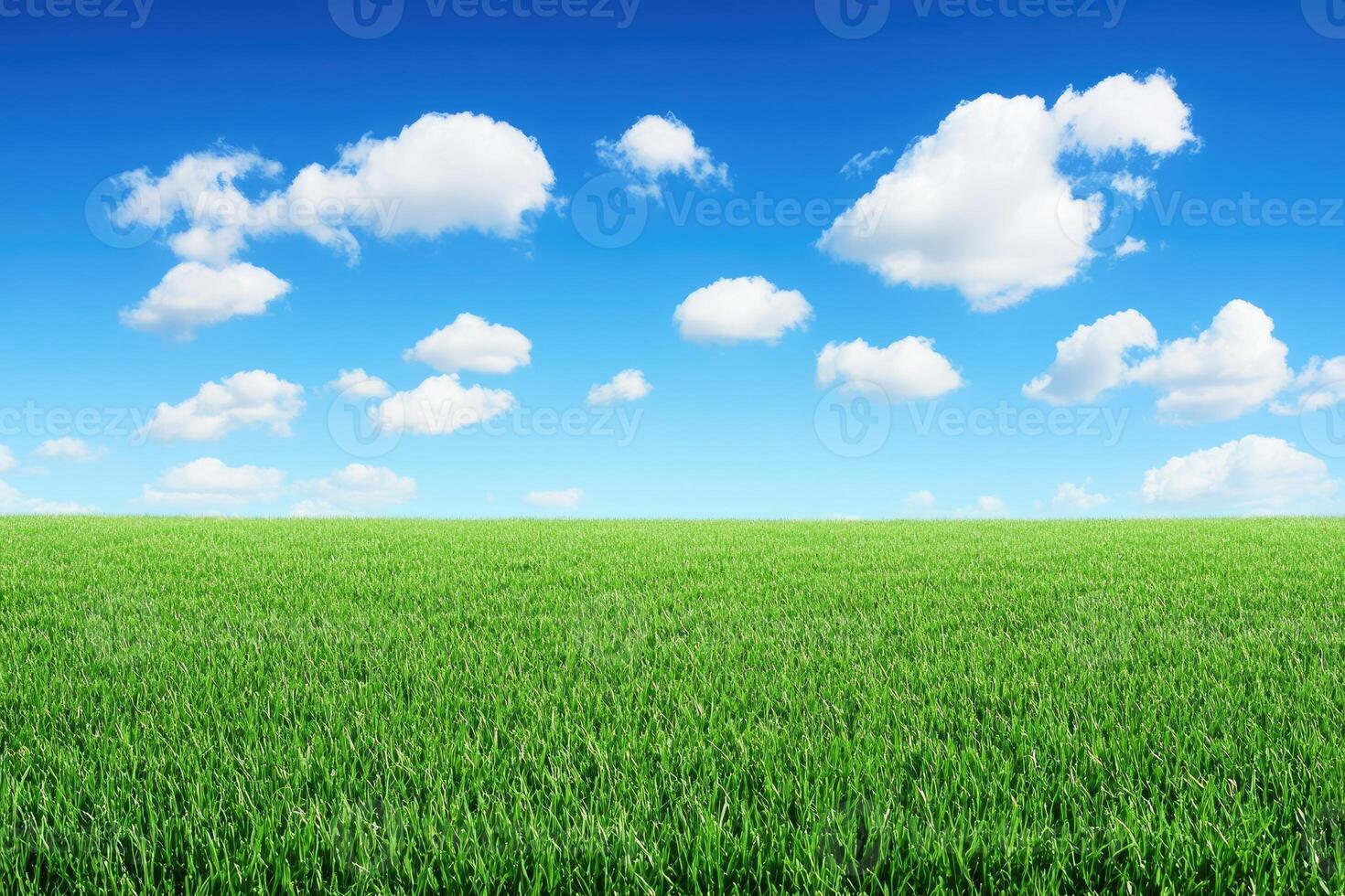 Vast green field under a clear blue sky photo