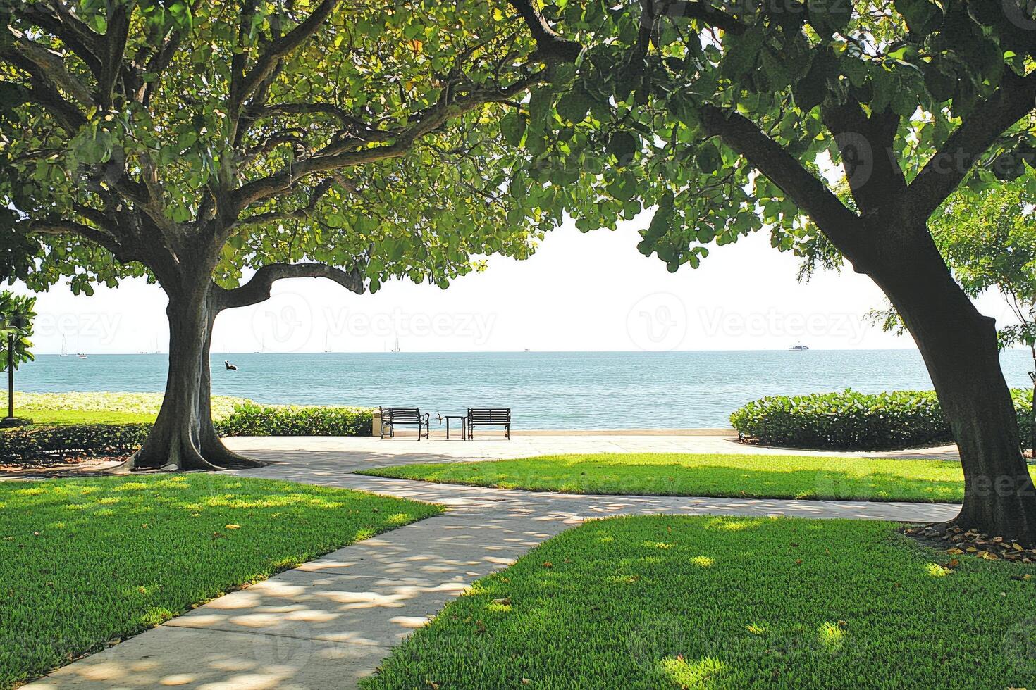 Tranquil coastal park photo