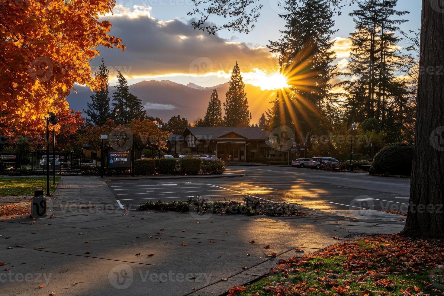 Autumn sunset over a park area, with a building and parking lot in the foreground. Golden light illuminates the trees, casting shadows on the ground photo