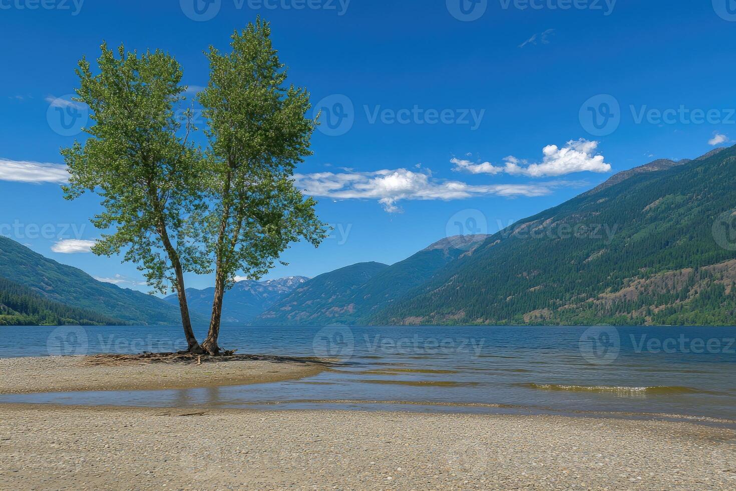 Lakeshore tranquility, two trees on a sandbar photo