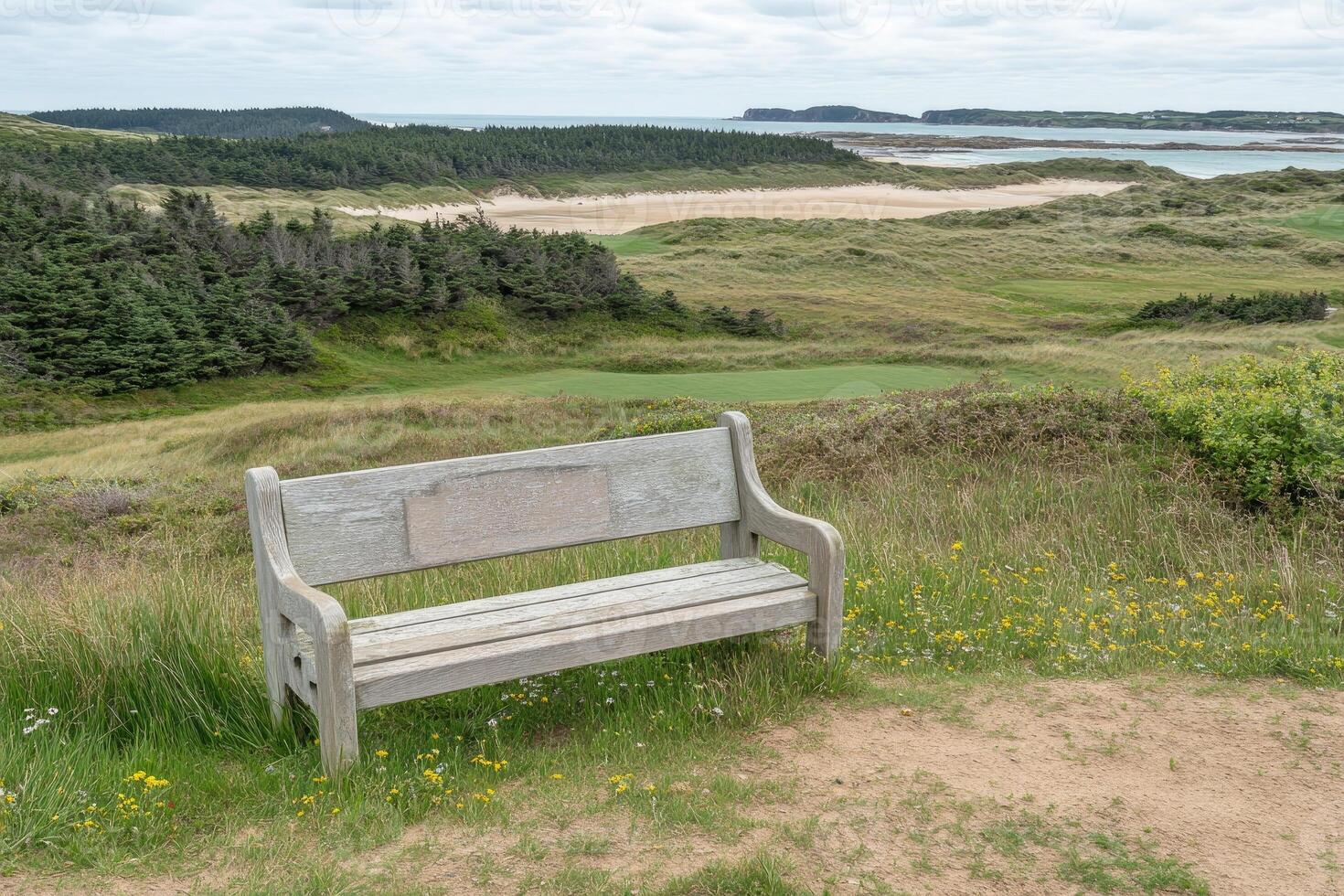 Coastal golf course overlook photo