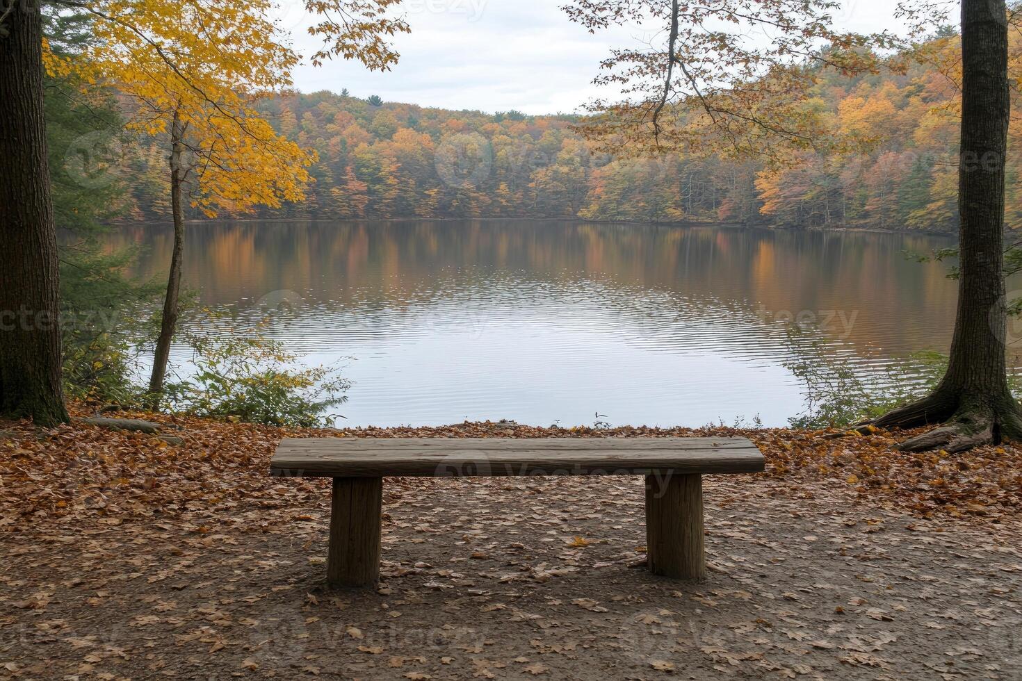 Autumnal Lakeside Bench photo
