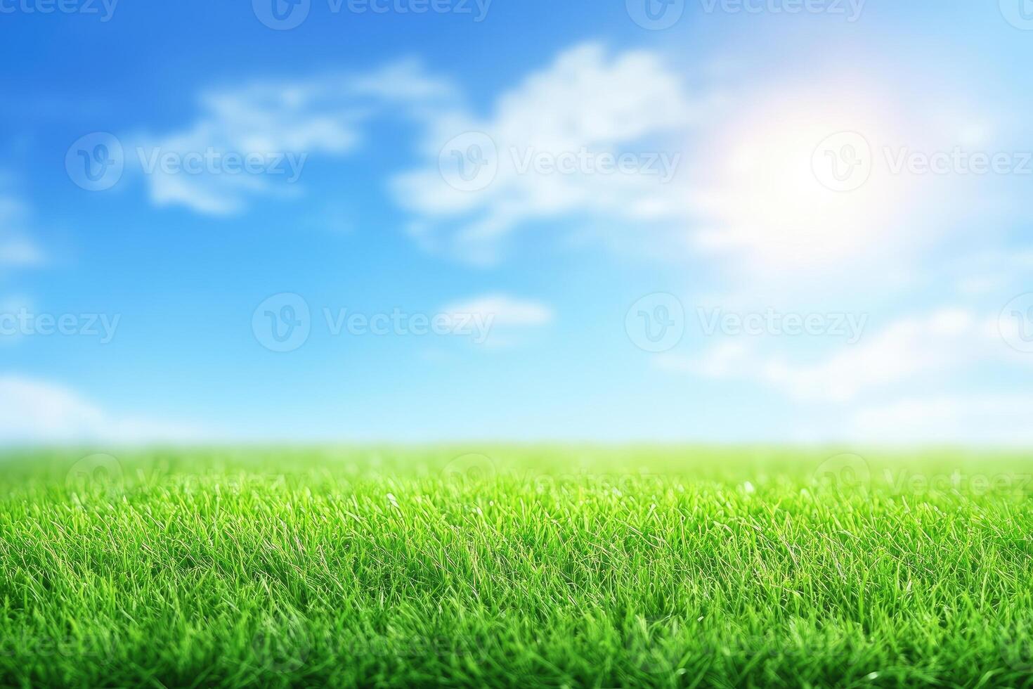 Lush green grass under a vibrant blue sky photo