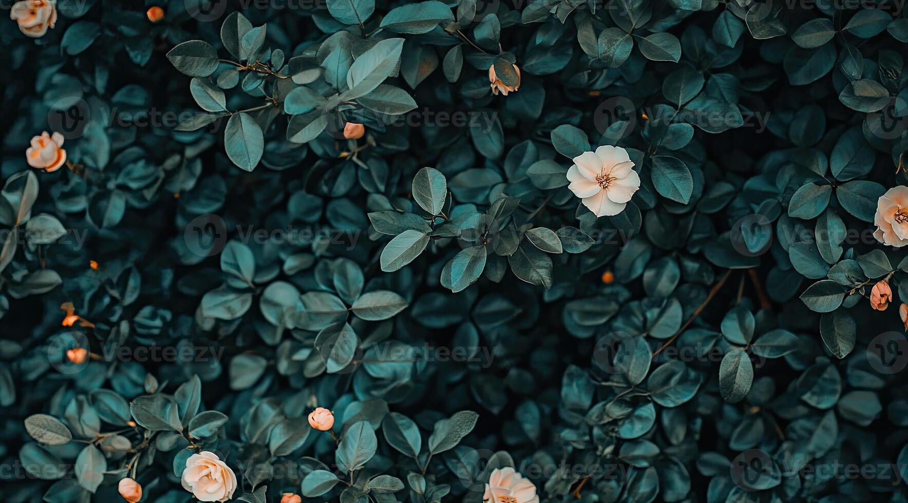 Lush, vibrant foliage with delicate blooms photo