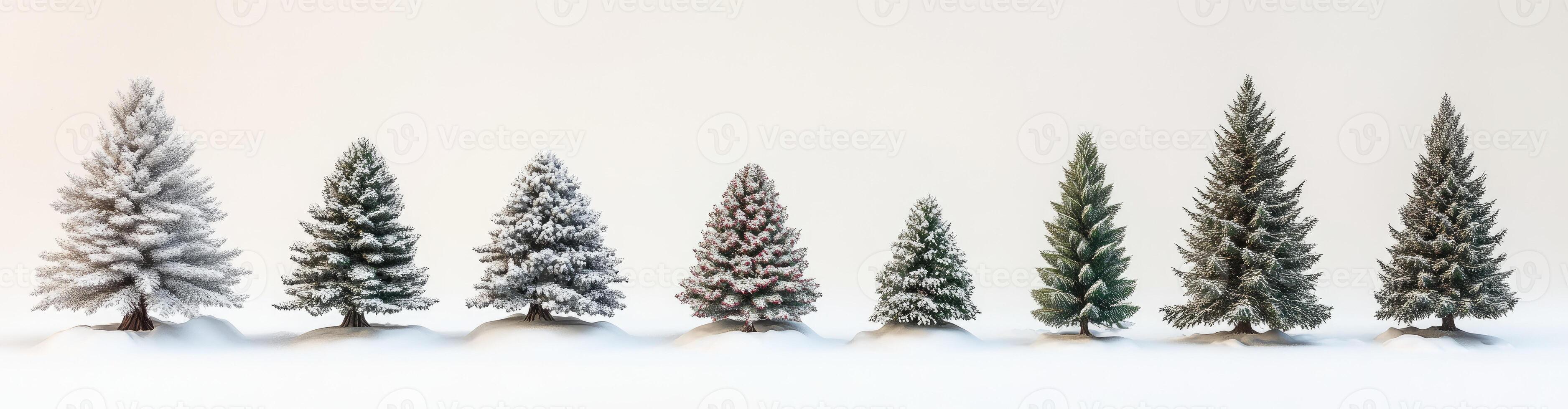 Winter Forest Scene photo