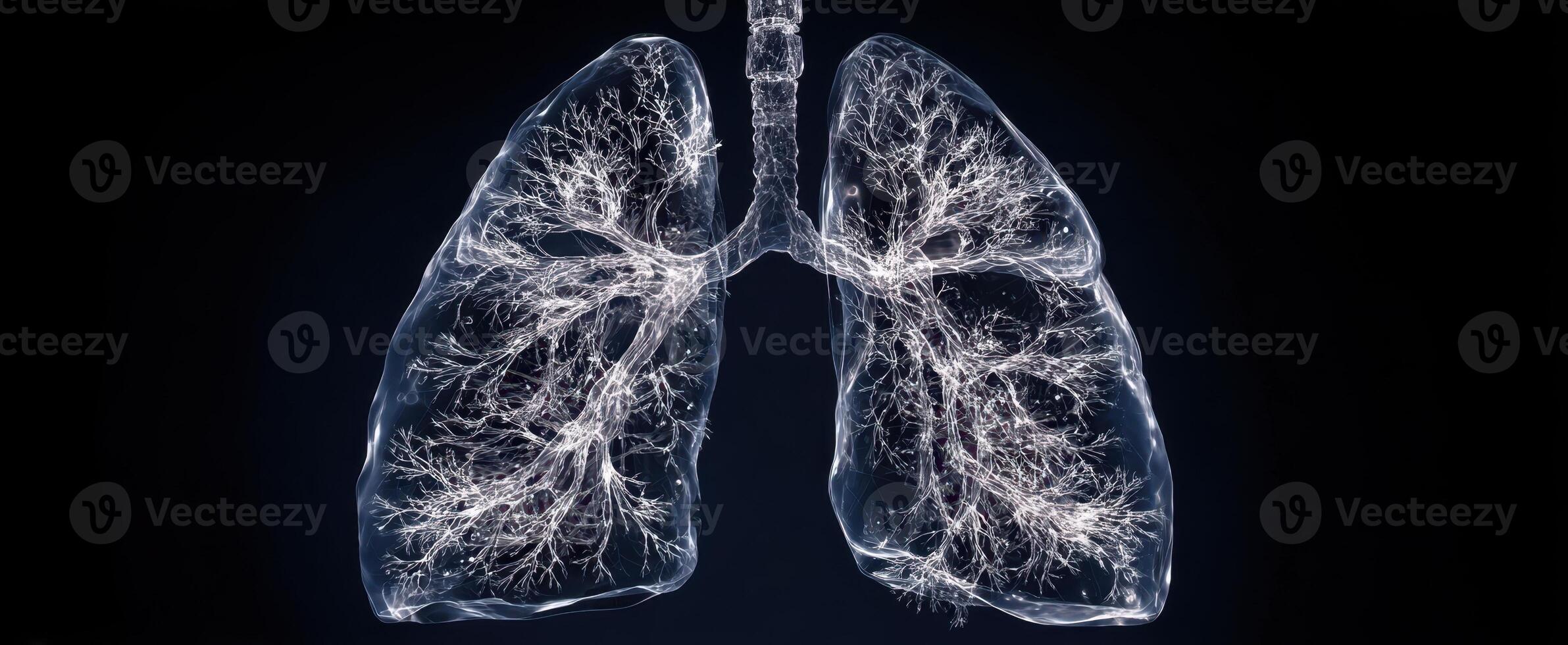 The intricate details of the human lungs shown in a striking illustration. photo