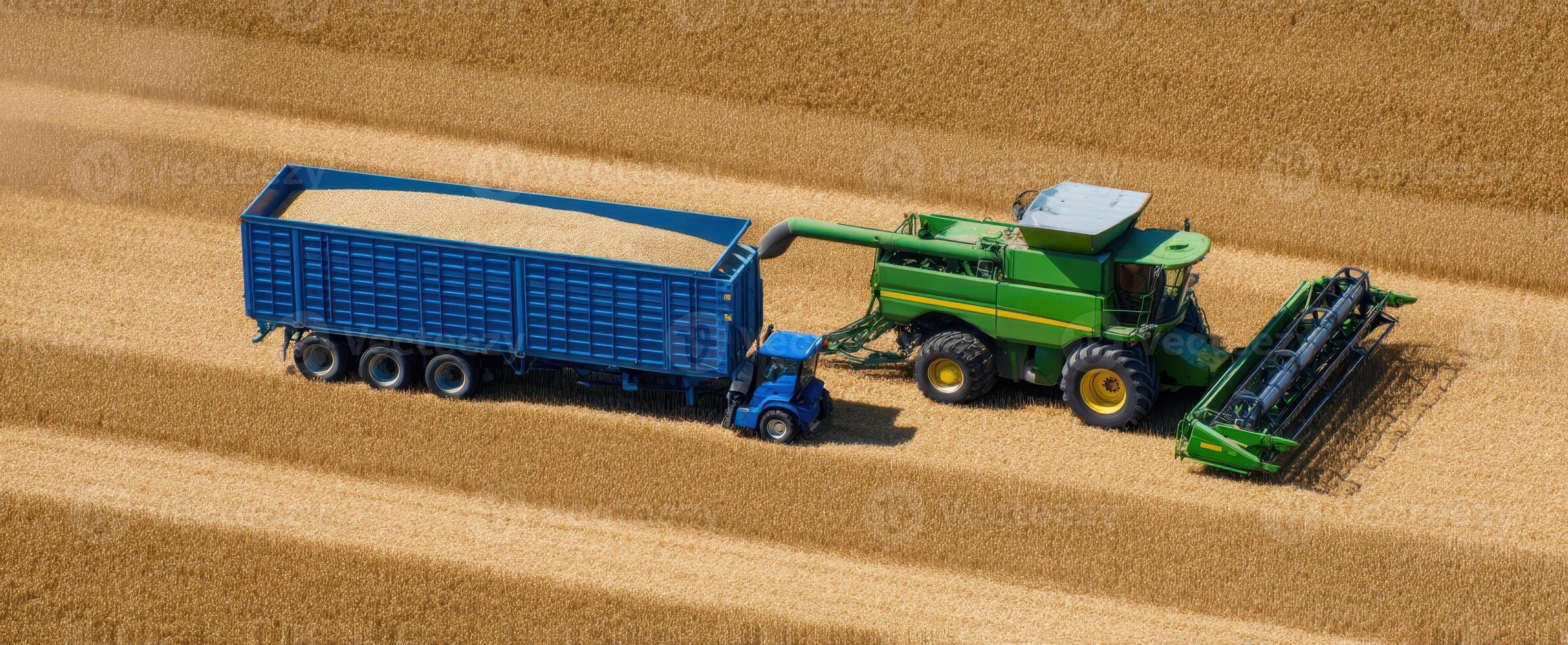 The combine harvester working alongside a grain truck in a golden wheat field. photo