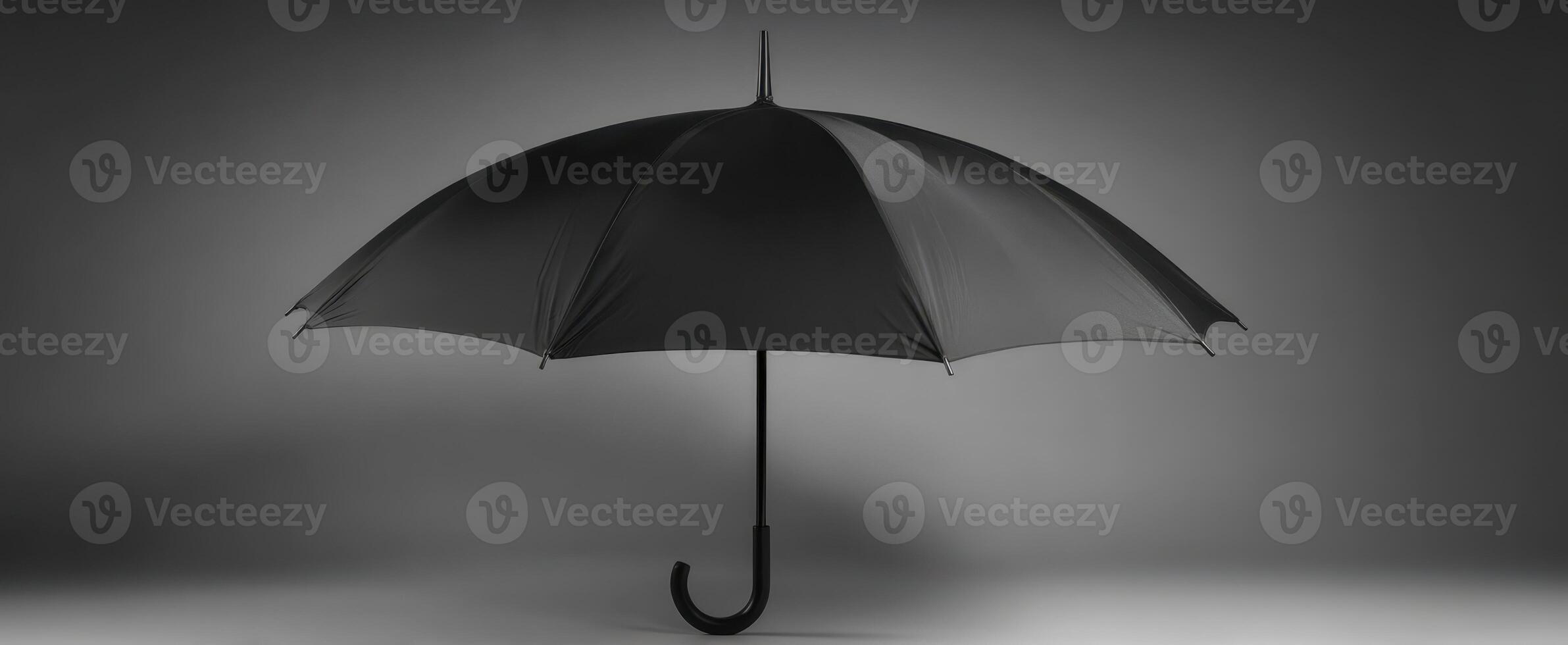 The elegant black umbrella standing in a minimalist studio environment. photo