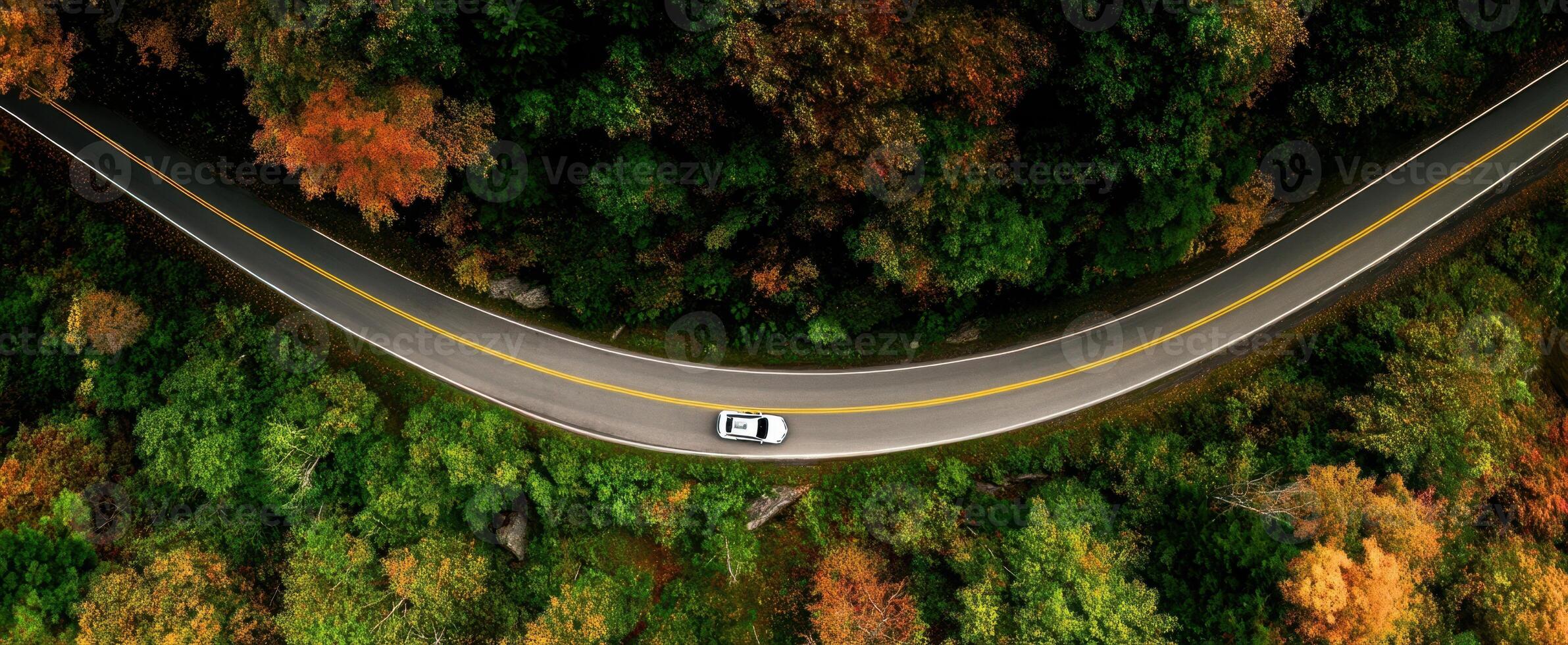 The winding road through a vibrant autumn forest with a car driving. photo