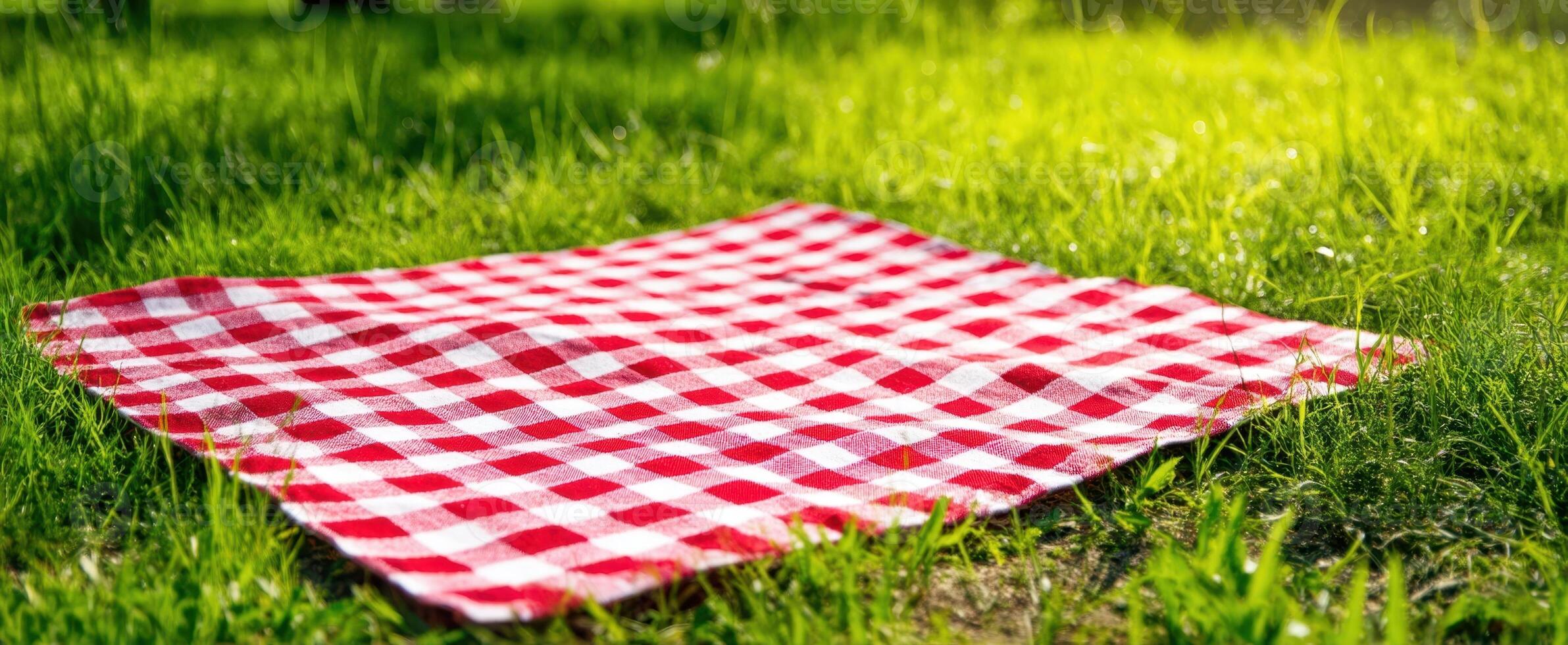 The vibrant picnic blanket spread across lush green grass in a sunny setting. photo