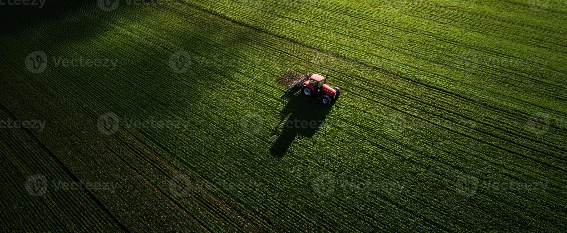 The tractor working on a vibrant green agricultural field under sunlight photo