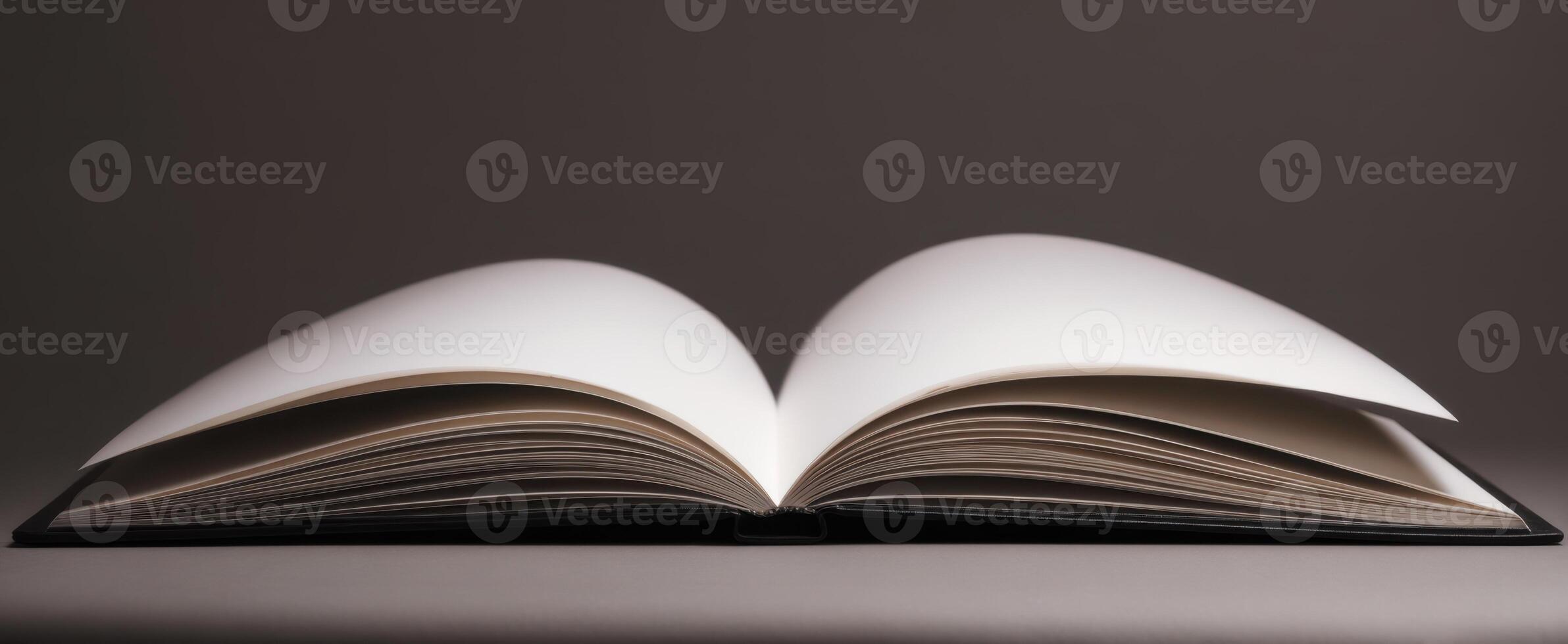 The Open Book Showcasing Blank Pages for Creative Expression and Inspiration photo
