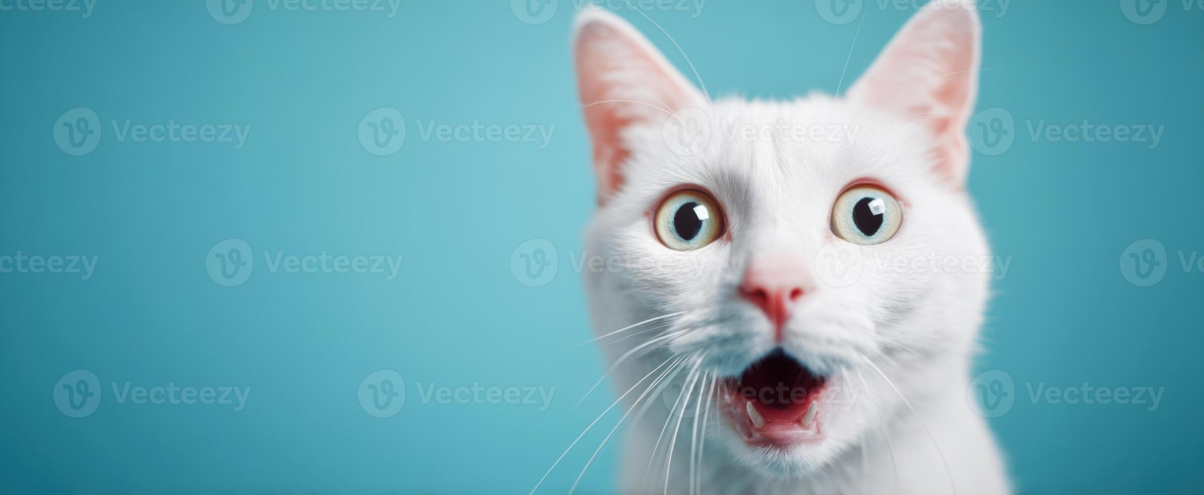 The surprised white cat with big expressive eyes on a vibrant background. photo
