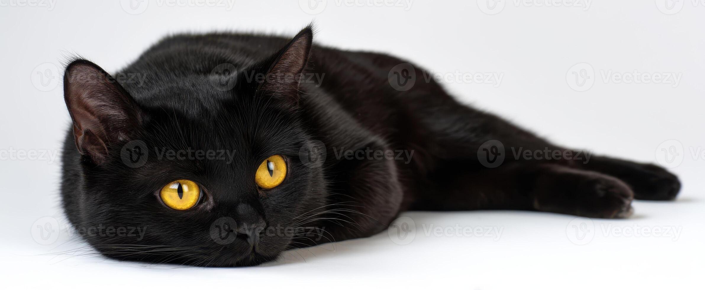 The sleek black cat with striking golden eyes resting gracefully on a white surface. photo
