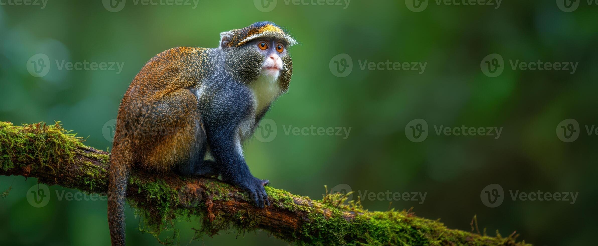 The vibrant monkey perched on a moss-covered branch in its natural habitat. photo