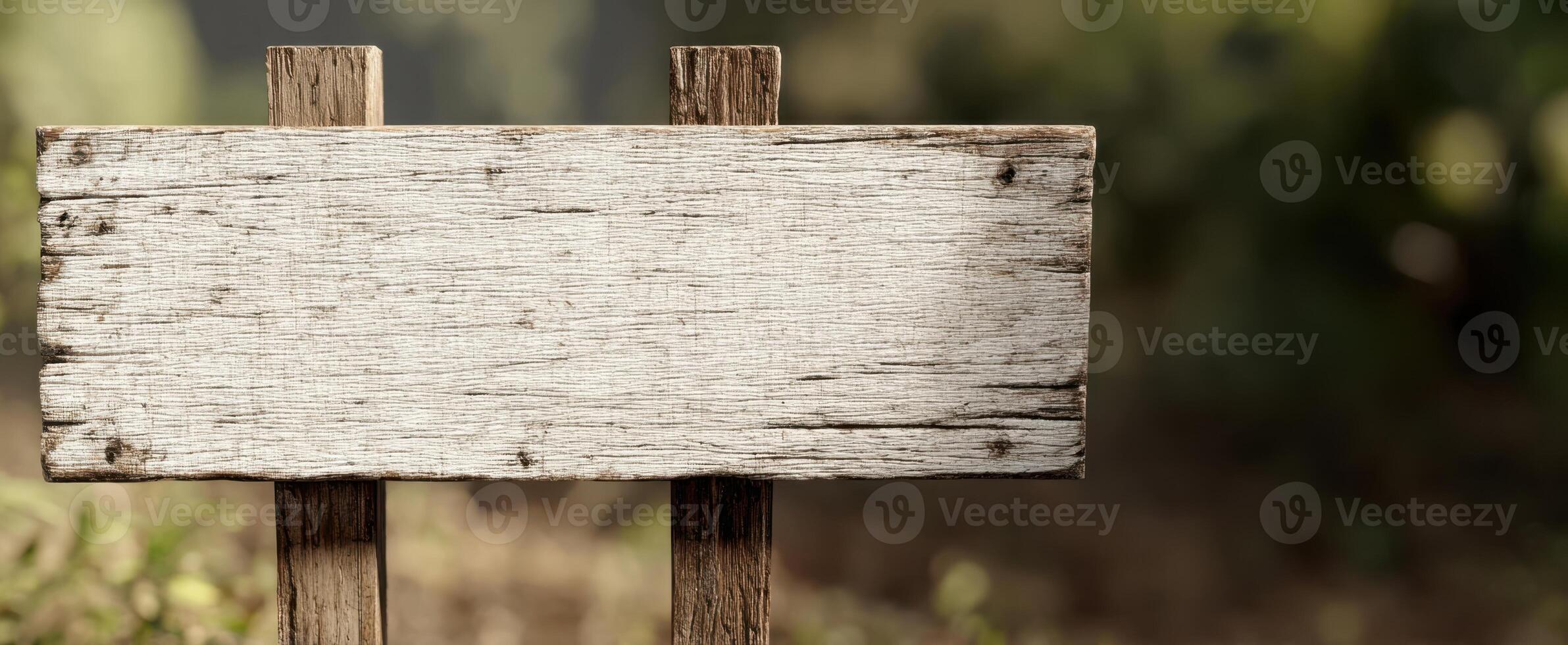 The rustic wooden sign blank for custom messages in a natural setting. photo