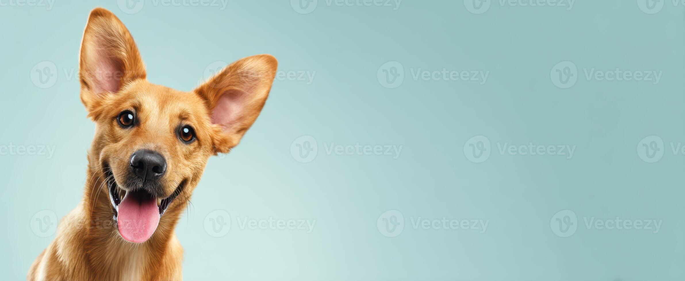 The happy dog posing adorably with a cheerful expression against a light background. photo