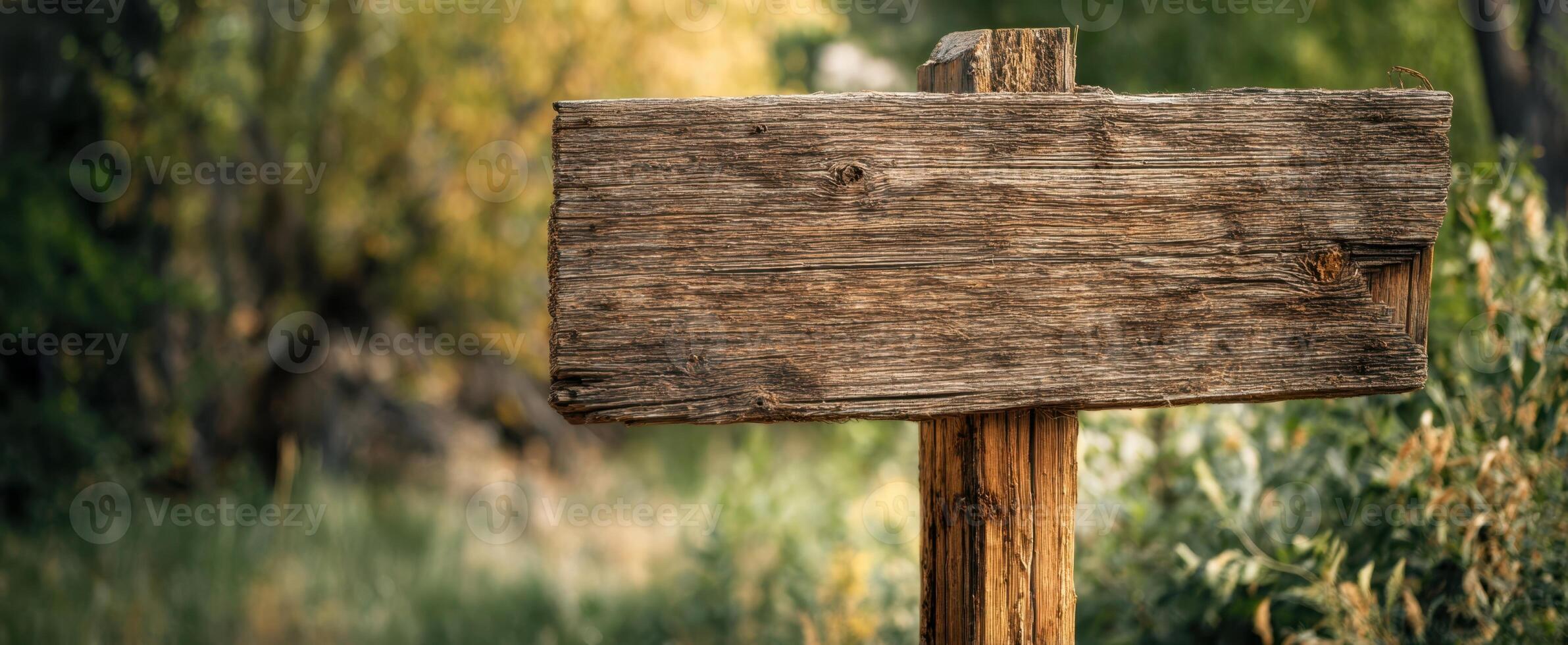 The rustic wooden sign in a serene natural setting with beautiful greenery. photo