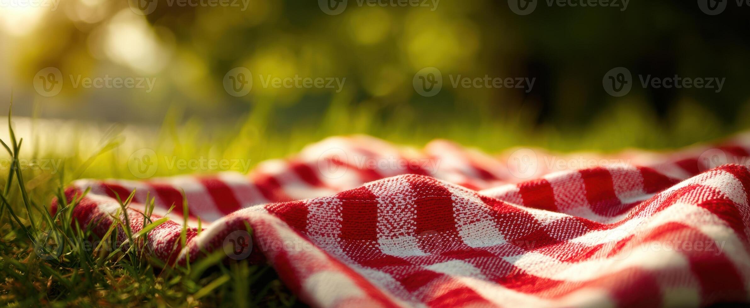 The checkered picnic blanket resting upon the lush green grass in sunlight. photo